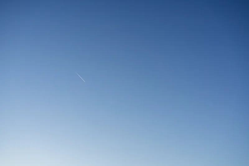 Photo from 2025 Boise Spring album - Image 15