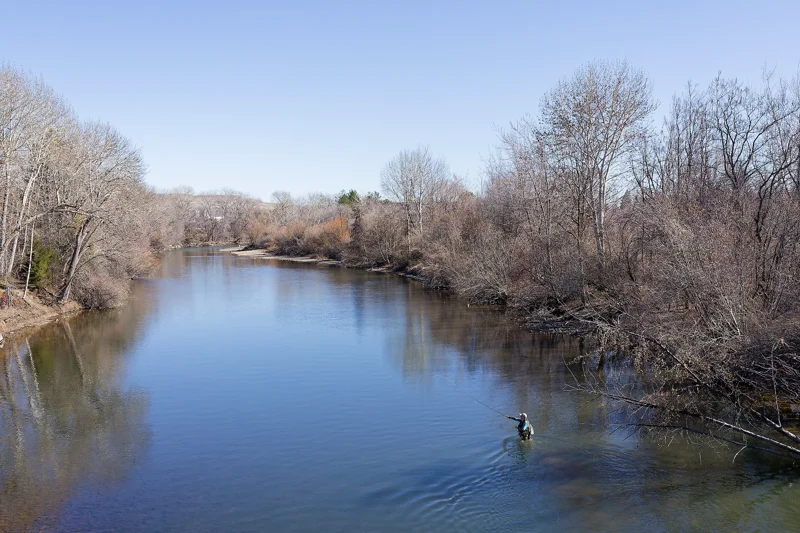 Photo from 2025 Boise Spring album - Image 20