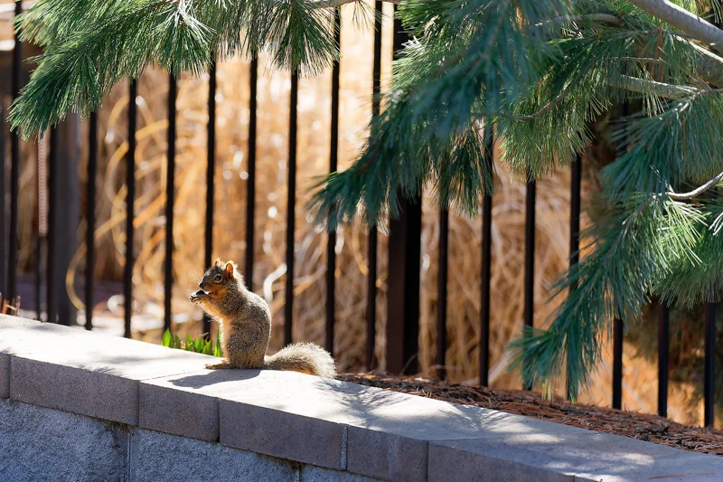 Photo from 2025 Boise Spring album - Image 21