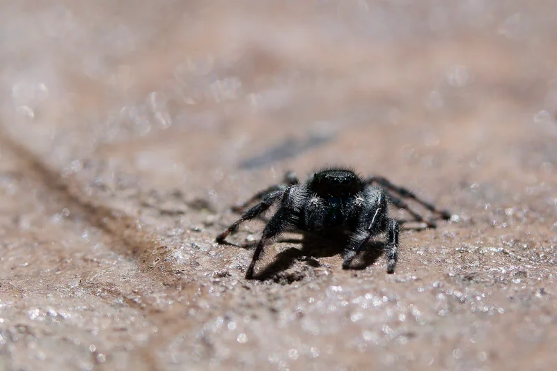 Photo from 2025 Boise Spring album - Image 26