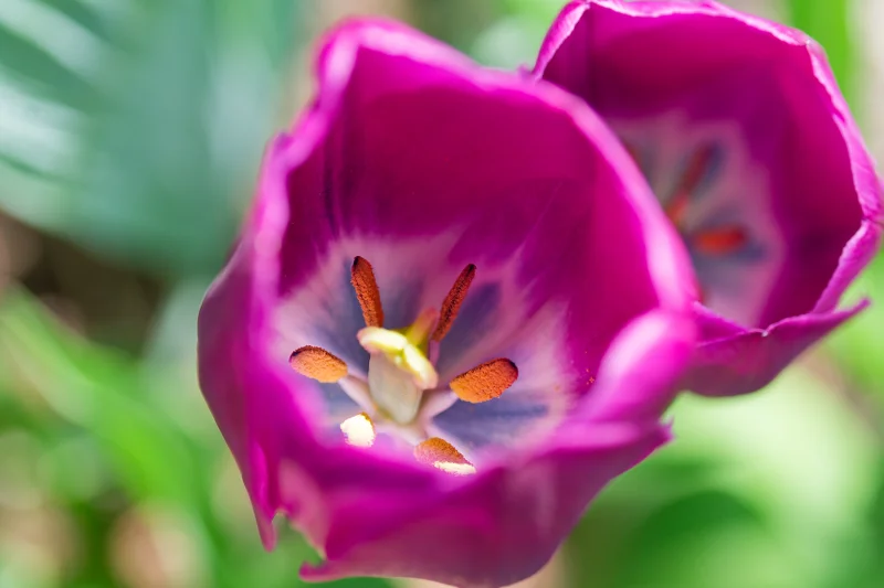 Photo from 2025 Boise Spring album - Image 27