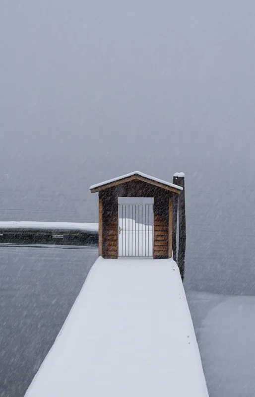 Photo from 2025 Mccall album - Image 16