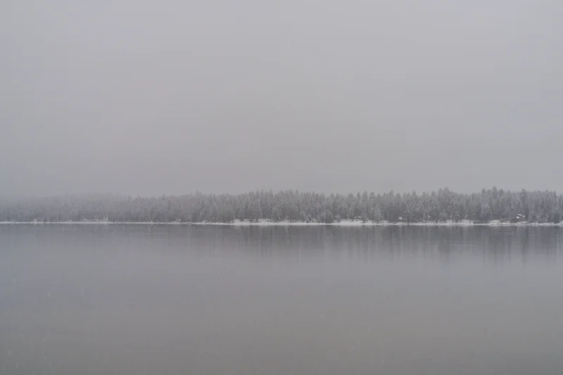 Photo from 2025 Mccall album - Image 19