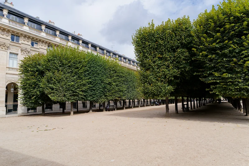 Photo from 2025 Paris album - Image 5