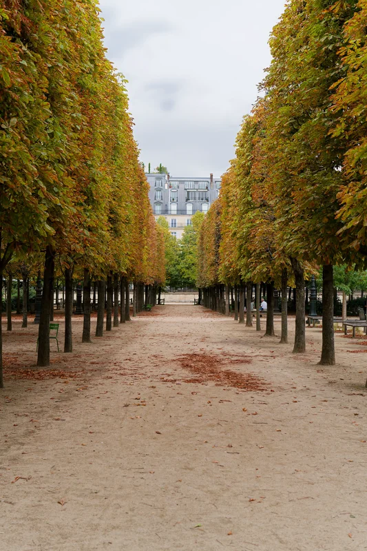 Photo from 2025 Paris album - Image 11