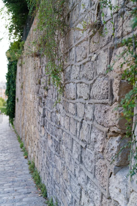 Photo from 2025 Paris album - Image 41