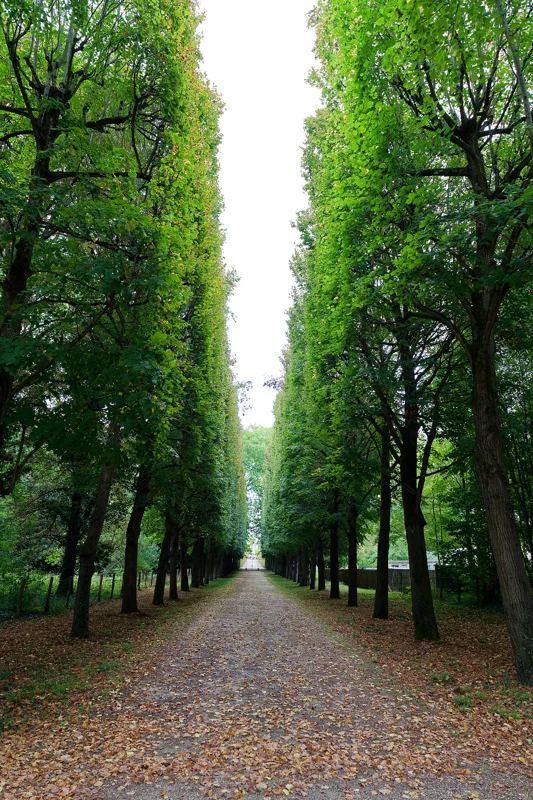 Photo from 2025 Paris album - Image 58