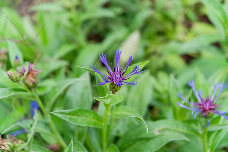 Photo from 2025 Paris album - Image 61