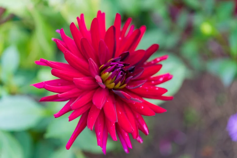 Photo from 2025 Paris album - Image 62