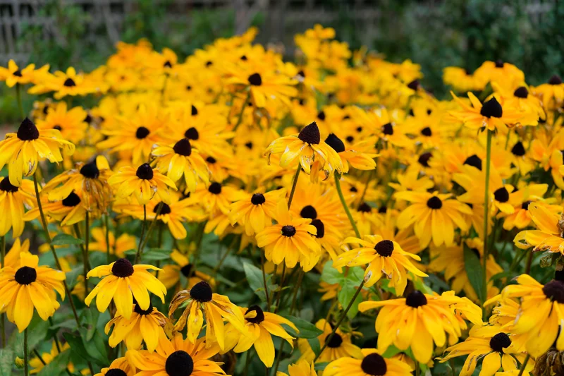 Photo from 2025 Paris album - Image 63