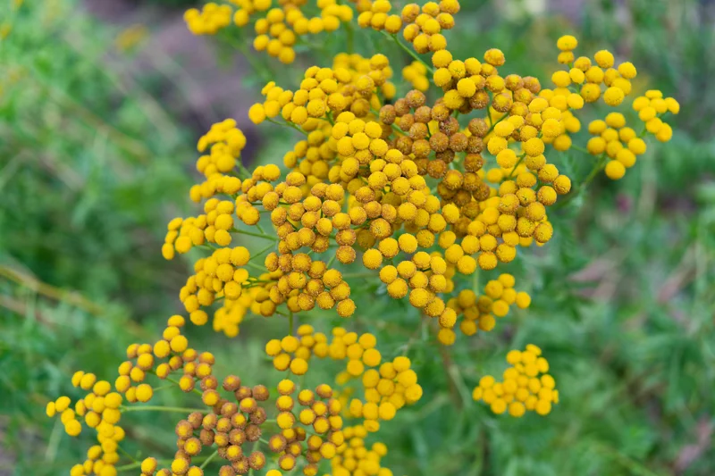 Photo from 2025 Paris album - Image 67