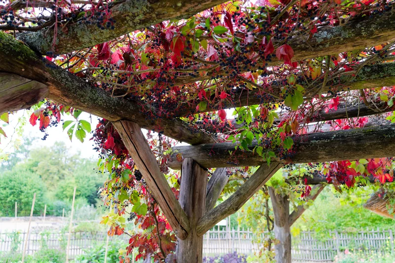 Photo from 2025 Paris album - Image 68