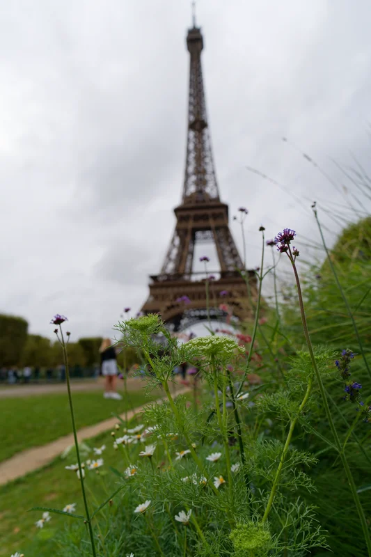 Photo from 2025 Paris album - Image 86