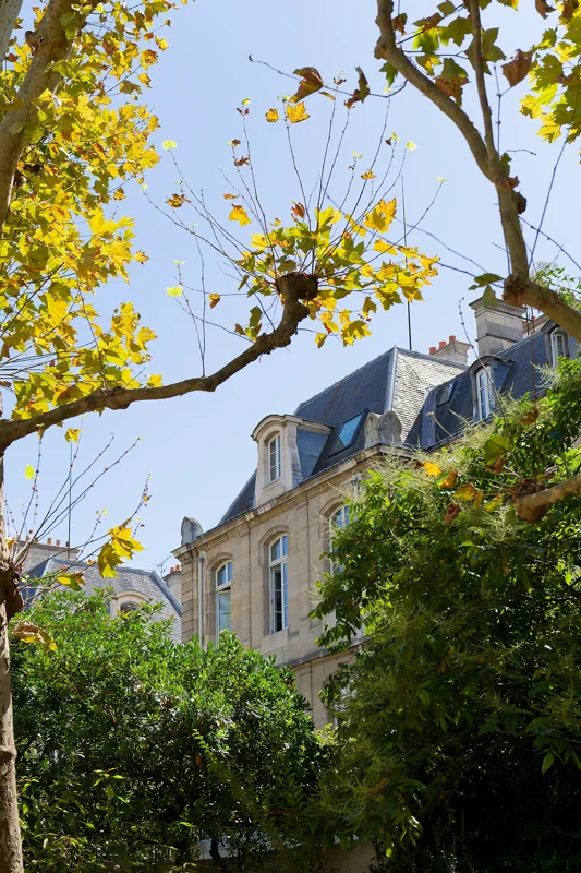 Photo from 2025 Paris album - Image 111