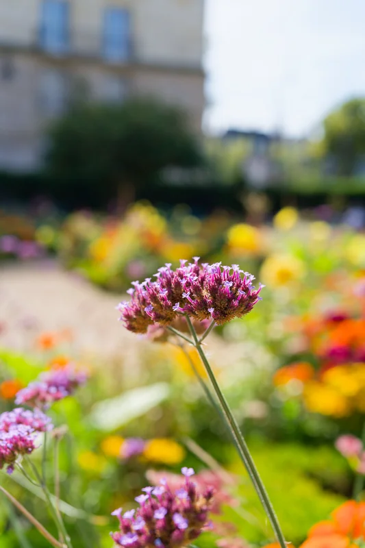 Photo from 2025 Paris album - Image 127