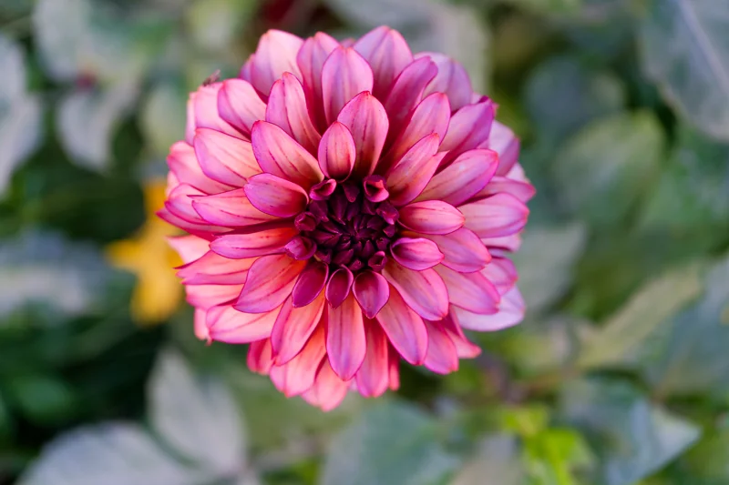 Photo from 2025 Paris album - Image 128