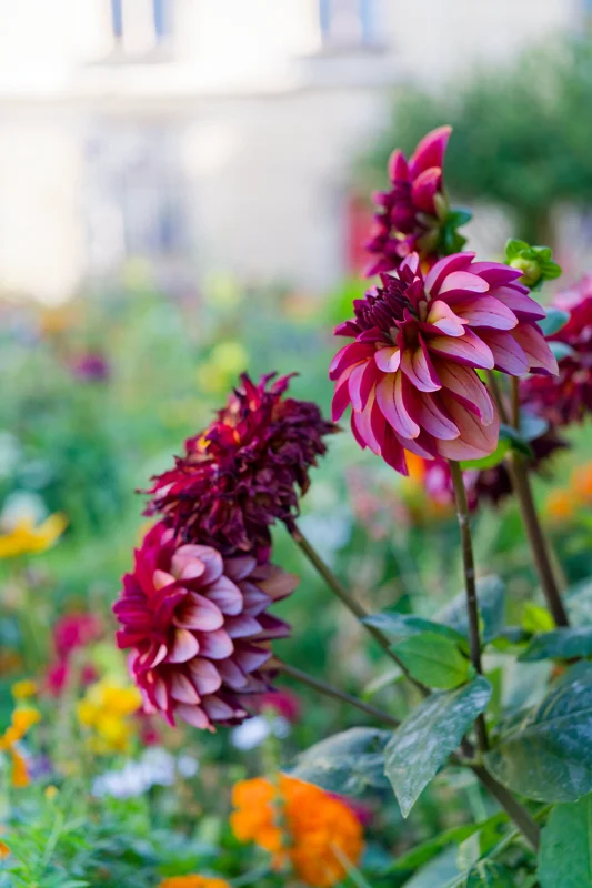 Photo from 2025 Paris album - Image 129