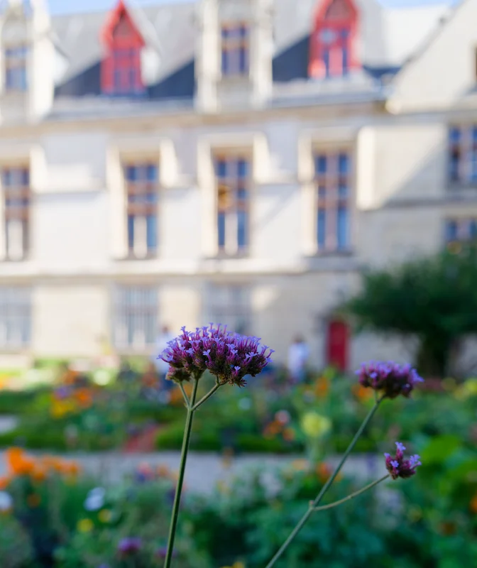 Photo from 2025 Paris album - Image 130