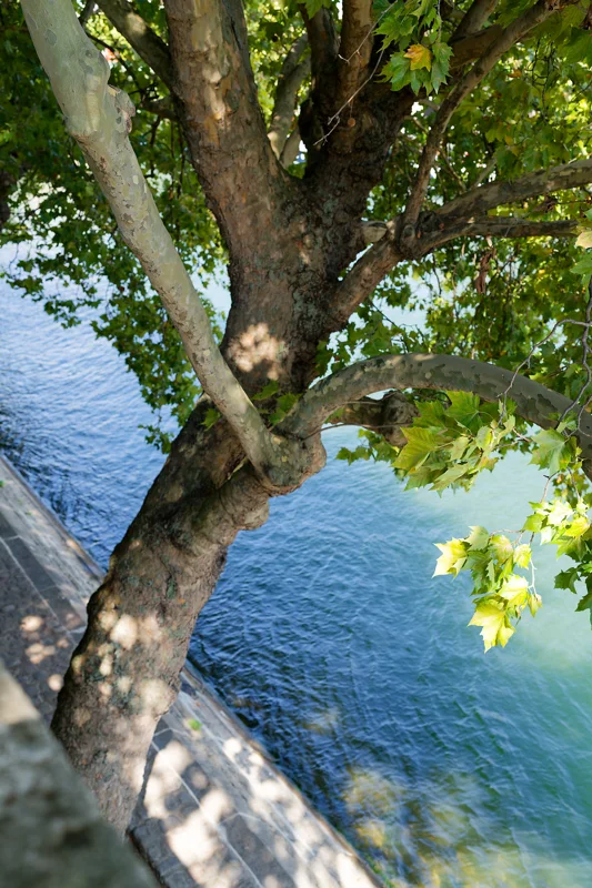 Photo from 2025 Paris album - Image 142