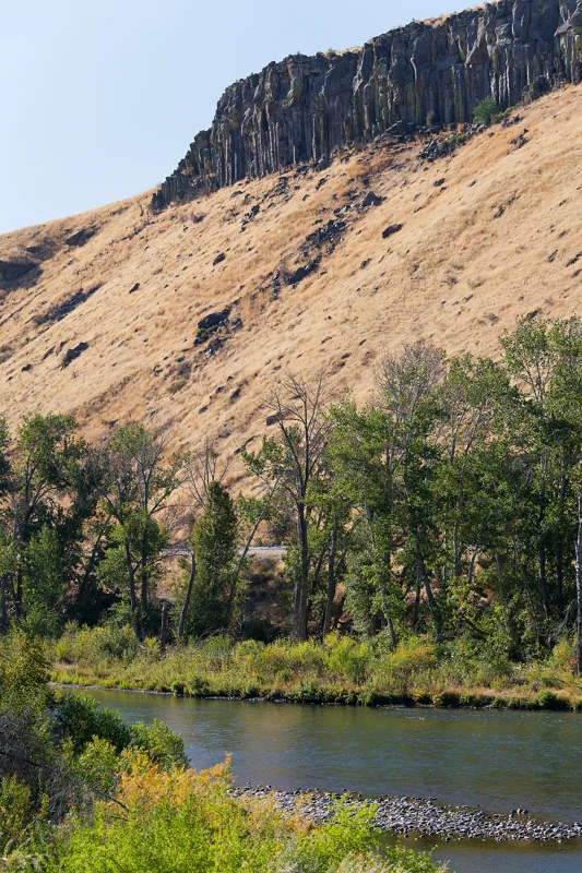 Photo from 2026 Boise Bird Observatory album, image 2