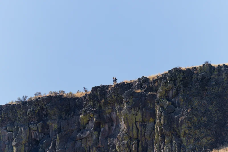 Photo from 2026 Boise Bird Observatory album, image 15