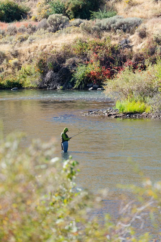 Photo from 2026 Boise Bird Observatory album, image 17
