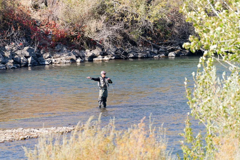 Photo from 2026 Boise Bird Observatory album, image 26