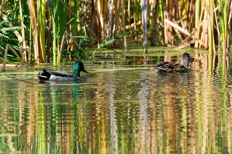 Photo from 2026 Boise River album, image 11