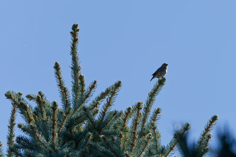 Photo from 2026 Boise River album, image 19