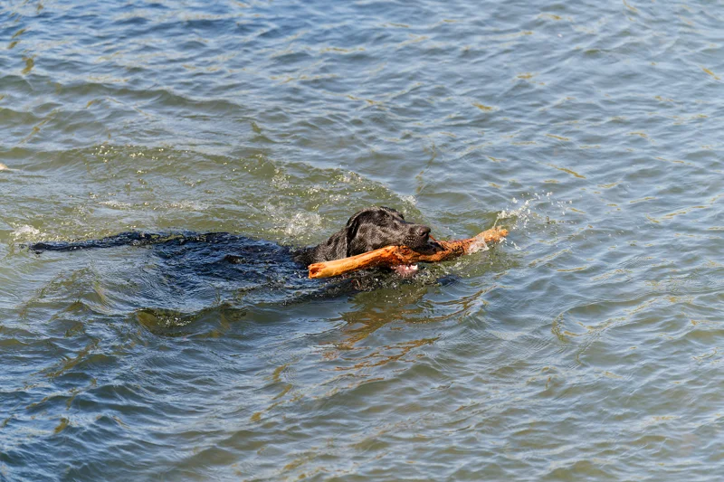 Photo from 2026 Boise River album, image 20