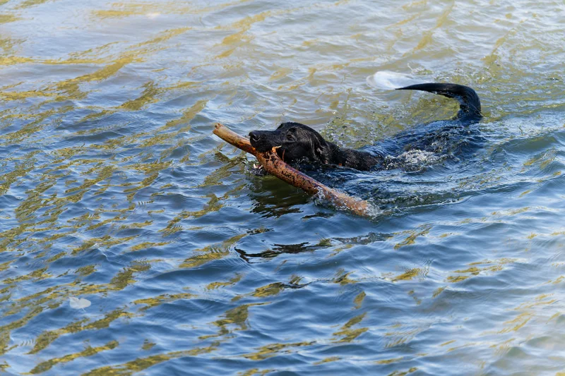 Photo from 2026 Boise River album, image 21