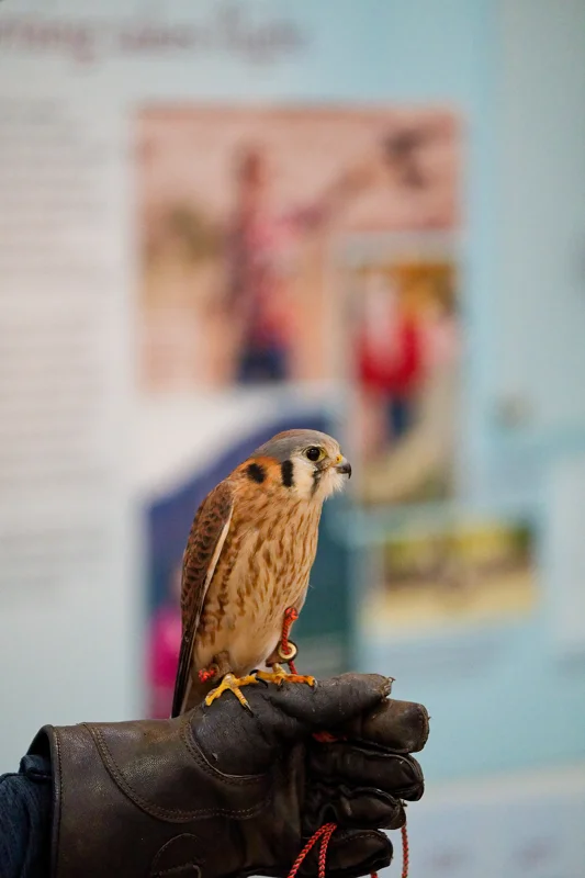 Photo from 2026 Boise Spring album - Image 12