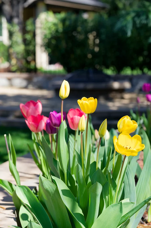 Photo from 2026 Boise Spring album - Image 29