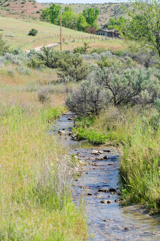 Photo from 2026 Boise Spring album - Image 74