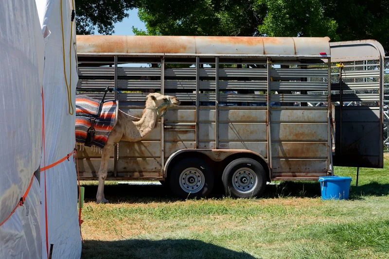 Photo from 2026 Boise Summer album, image 46