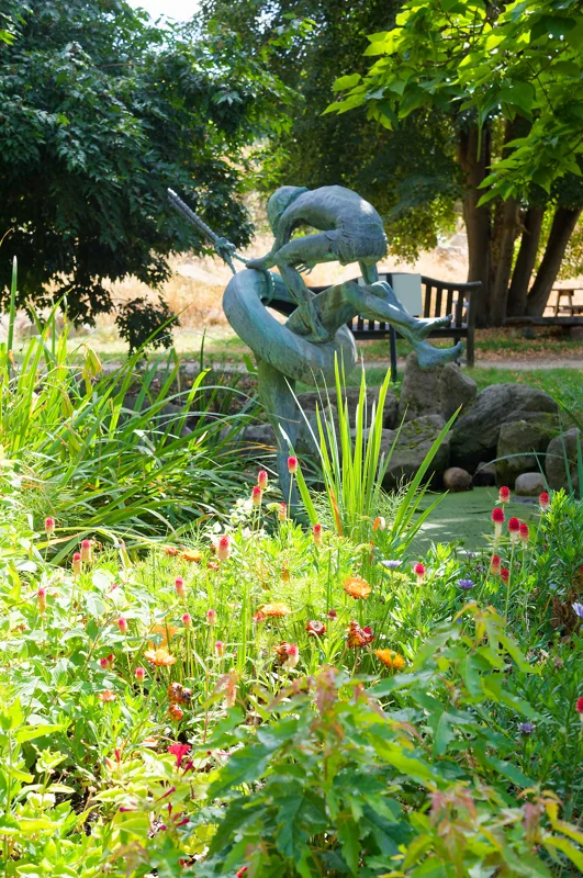 Photo from 2026 Gardens album - Image 19