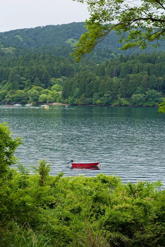 Photo from 2026 Hakone album - Image 1