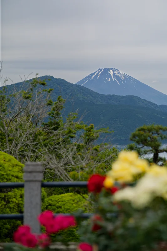 Photo from 2026 Hakone album - Image 2