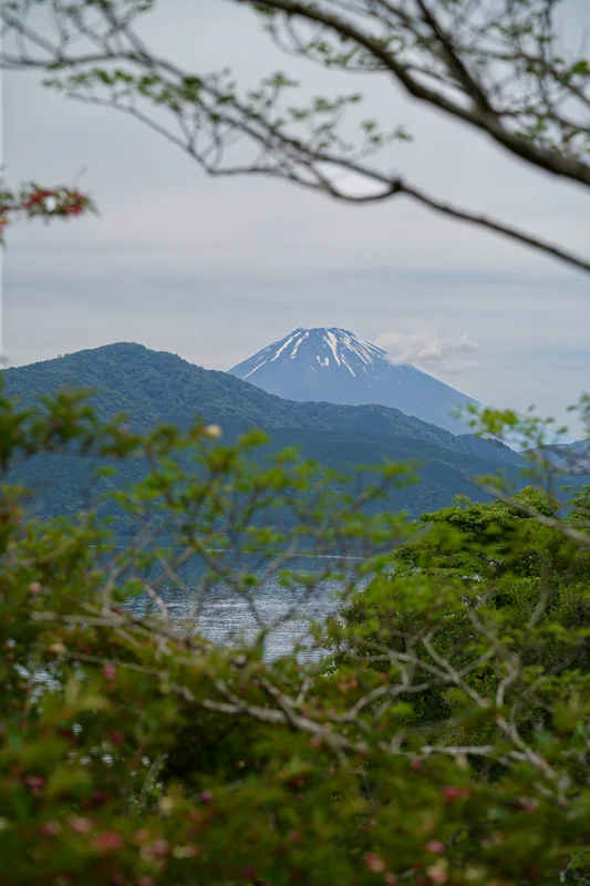 Photo from 2026 Hakone album - Image 3