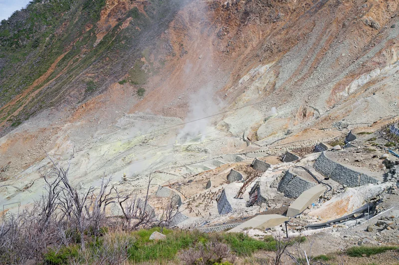 Photo from 2026 Hakone album - Image 12