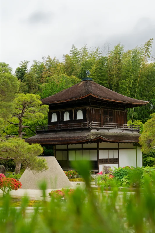 Photo from 2026 Kyoto album - Image 1