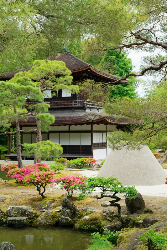 Photo from 2026 Kyoto album - Image 2