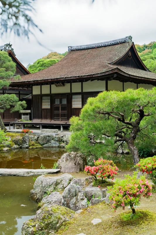 Photo from 2026 Kyoto album - Image 3