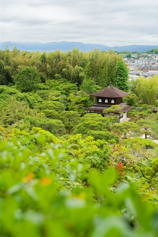Photo from 2026 Kyoto album - Image 4