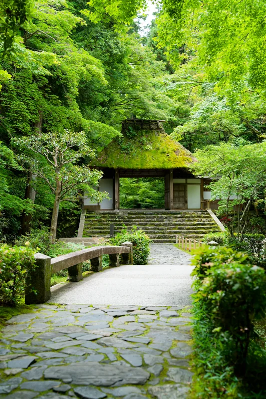 Photo from 2026 Kyoto album - Image 6