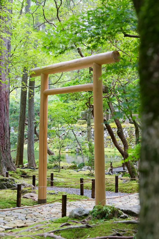 Photo from 2026 Kyoto album - Image 11