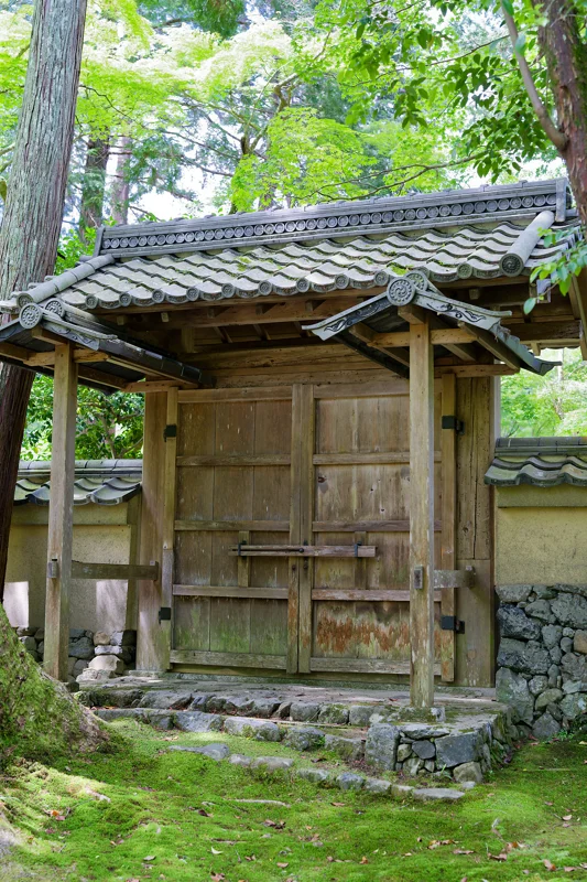Photo from 2026 Kyoto album - Image 12