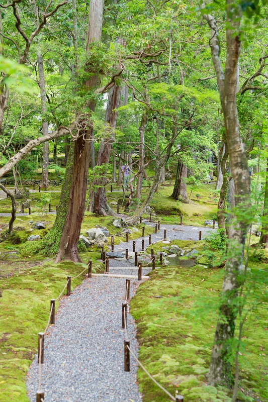Photo from 2026 Kyoto album - Image 14