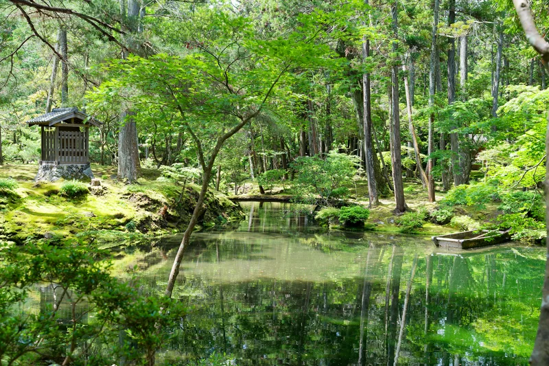 Photo from 2026 Kyoto album - Image 17