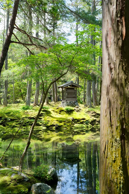 Photo from 2026 Kyoto album - Image 18